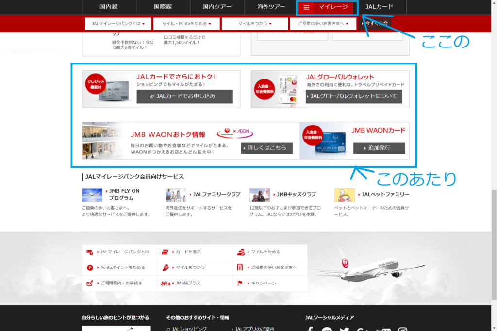 Jalの国際線航空券予約後のパスポート情報を確認 修正する方法 年イチでハワイへ行きたい Jalの国際線航空券予約後のパスポート情報を確認 修正する方法 年イチでハワイへ行きたい